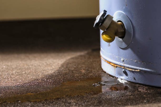 Best Carpet water damage restoration  in Collierville, TN