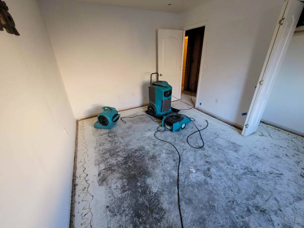 Best Flood restoration services  in Collierville, TN