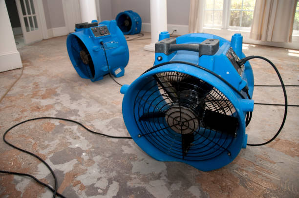 Best Ceiling water damage repair  in Collierville, TN